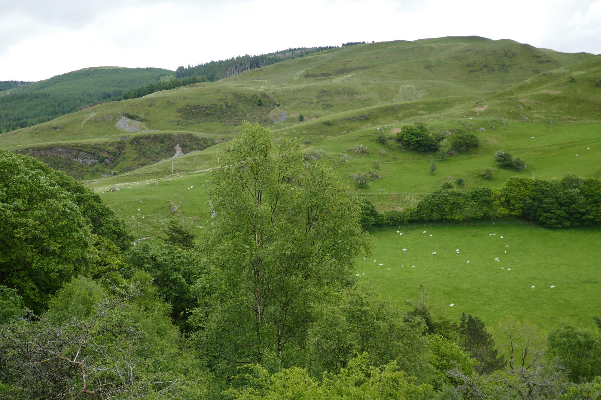RachelSeabrook.net | Wild Walking | Devils-Bridge; pic25